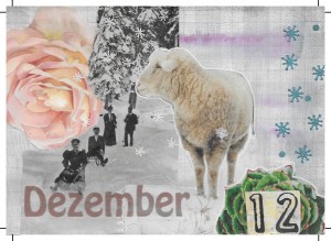 Collagen RS Dezember